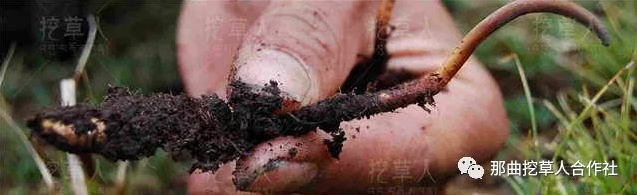 1552638228643282.png 2.png