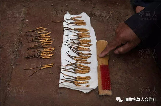 1552638417716737.png 18.png