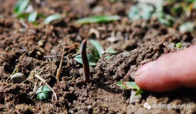 1552638907830169.png 11.png