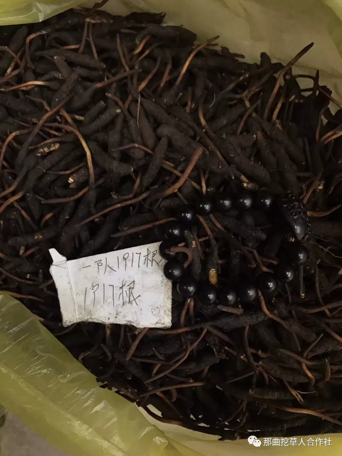 1552638916192395.png 12.png