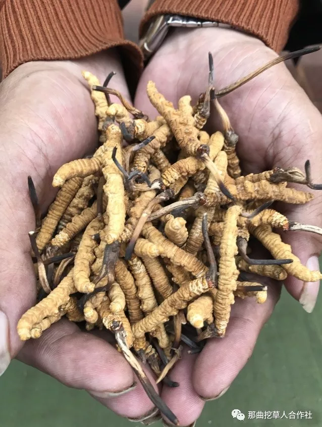 1552639147132335.png 4.png