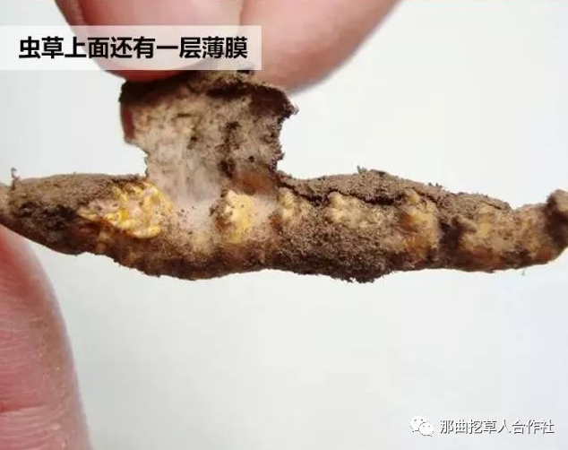 1552639174100530.png 6.png