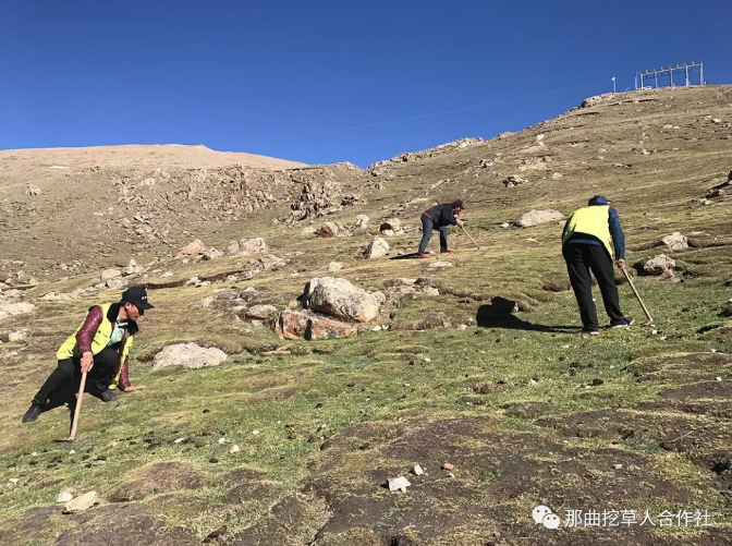 1552640855655933.png 2.png