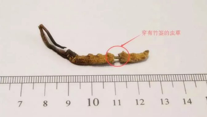 1552640902130343.png 8.png