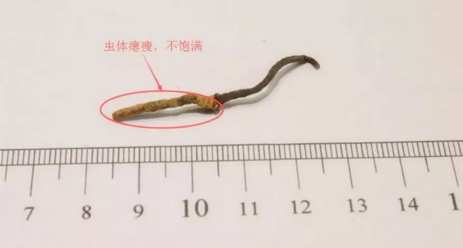 1552640910852502.png 9.png