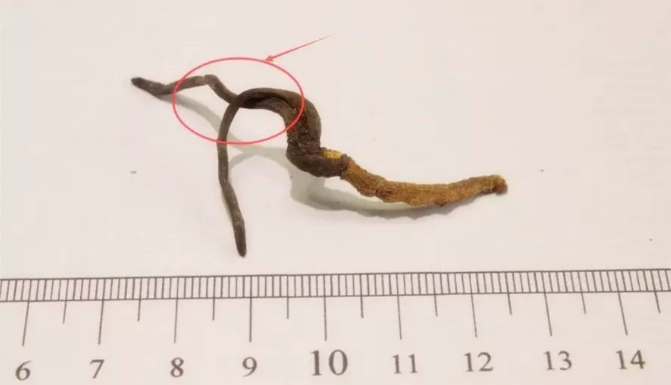 1552640931112747.png 12.png