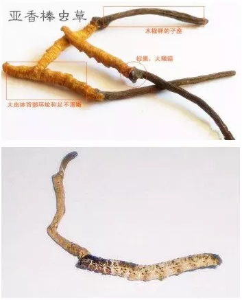 1552640938831804.png 13.png