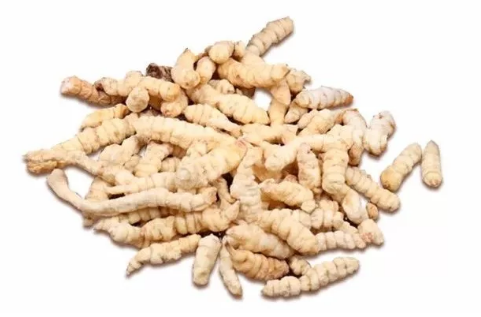 1552640958234308.png 16.png