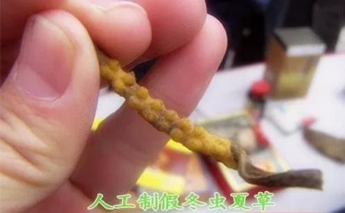 1552640967354581.png 17.png